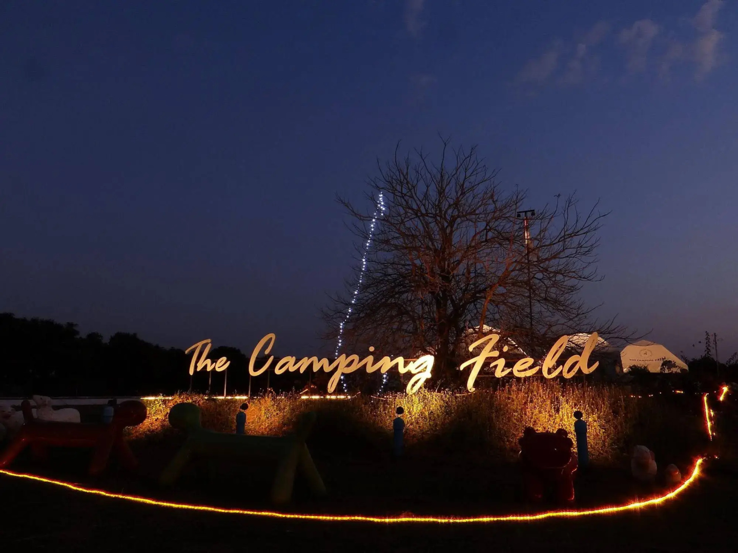 The Camping Field