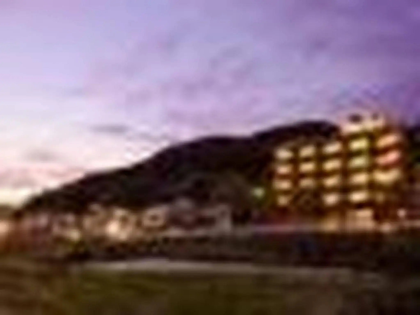 Shibu Hotel