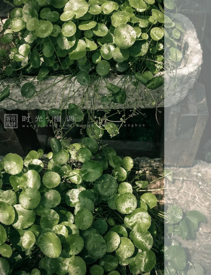 Zhangjiajie Wang Yi Inn