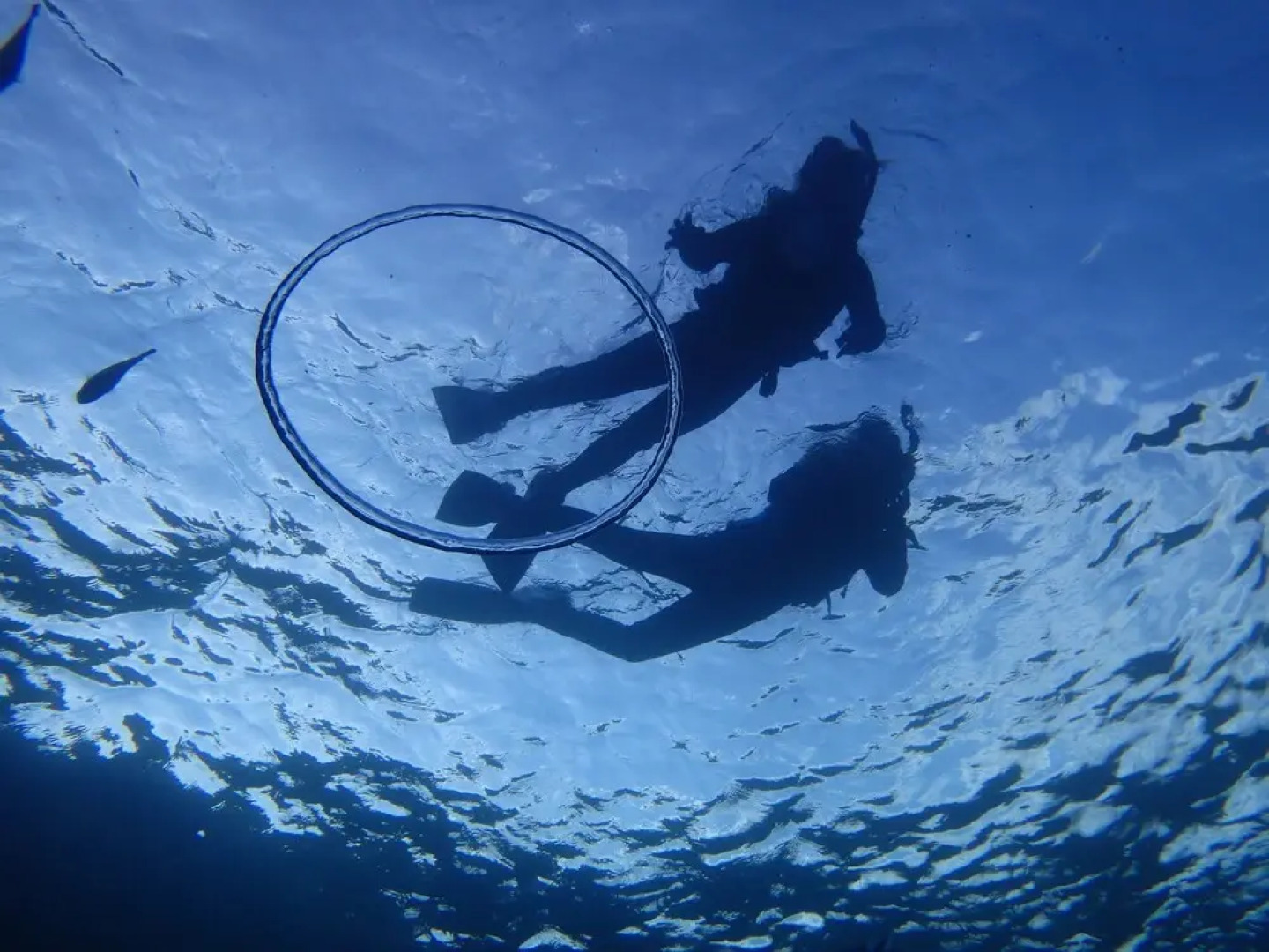Okinawa Guest House P's House - Hostel