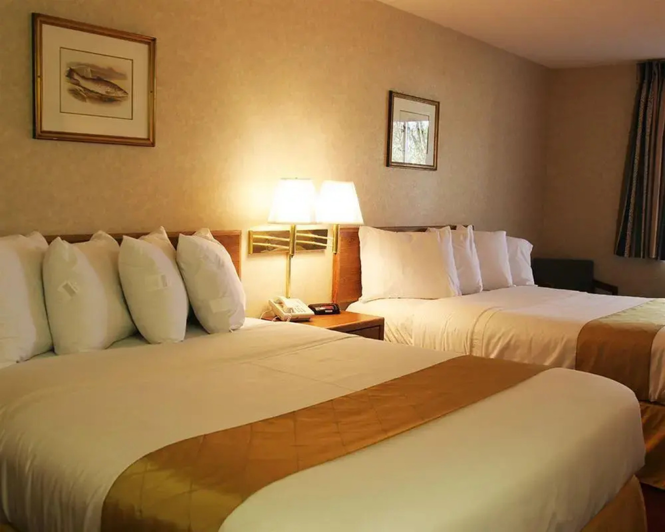 Stay Wise Inn Cedaredge