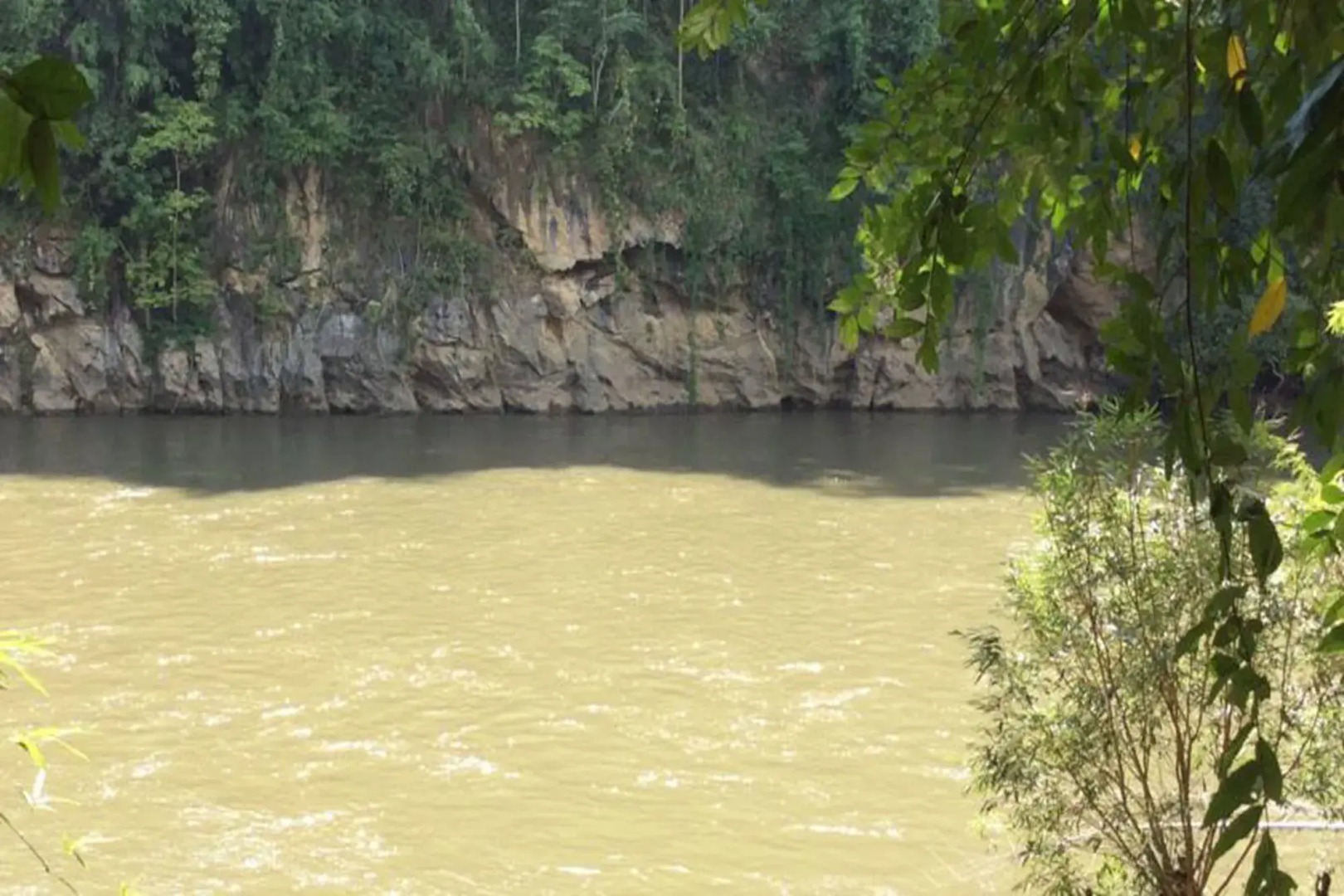 Sam's Jungle Guesthouse