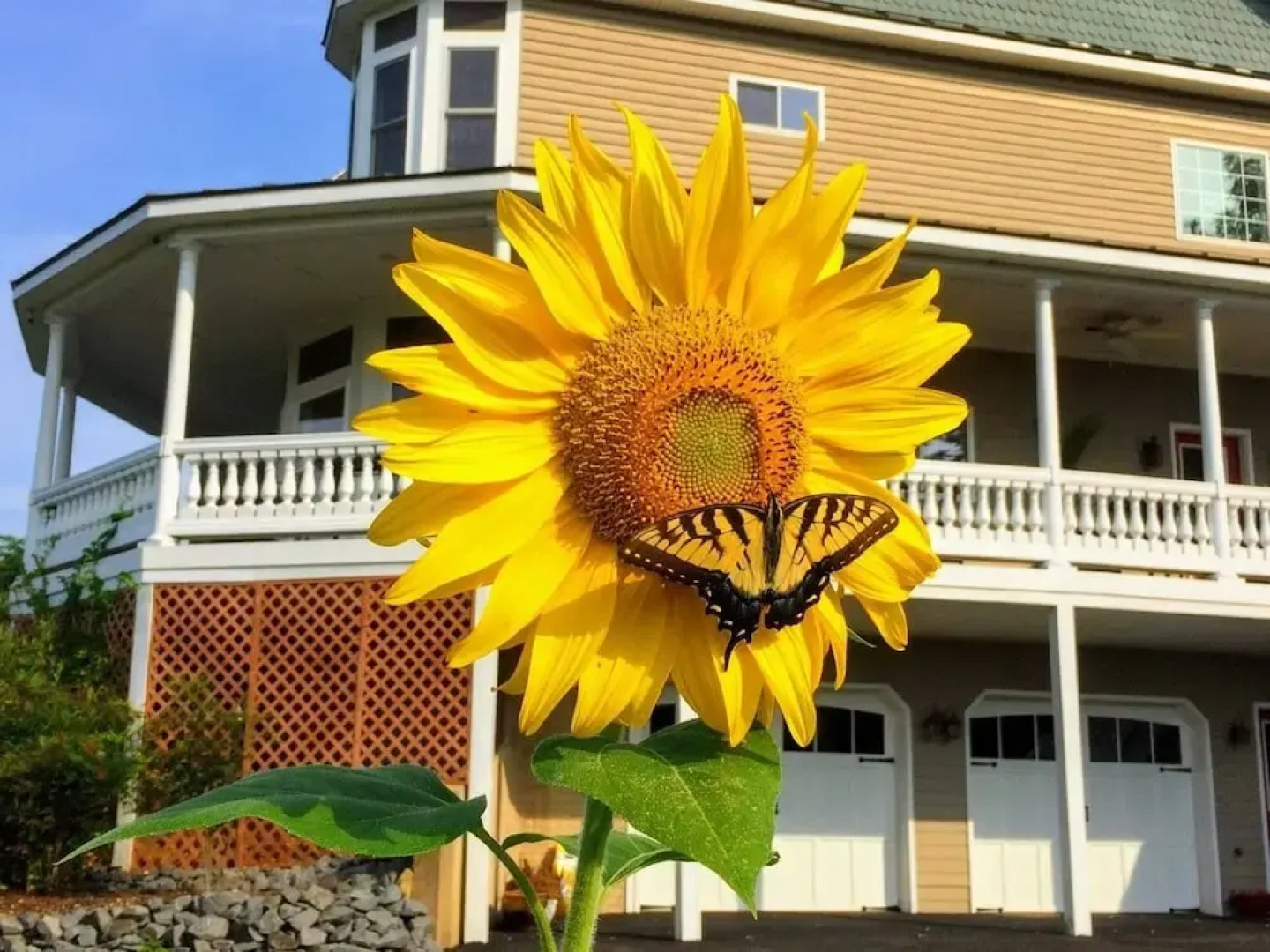 Skyline Vineyard Inn