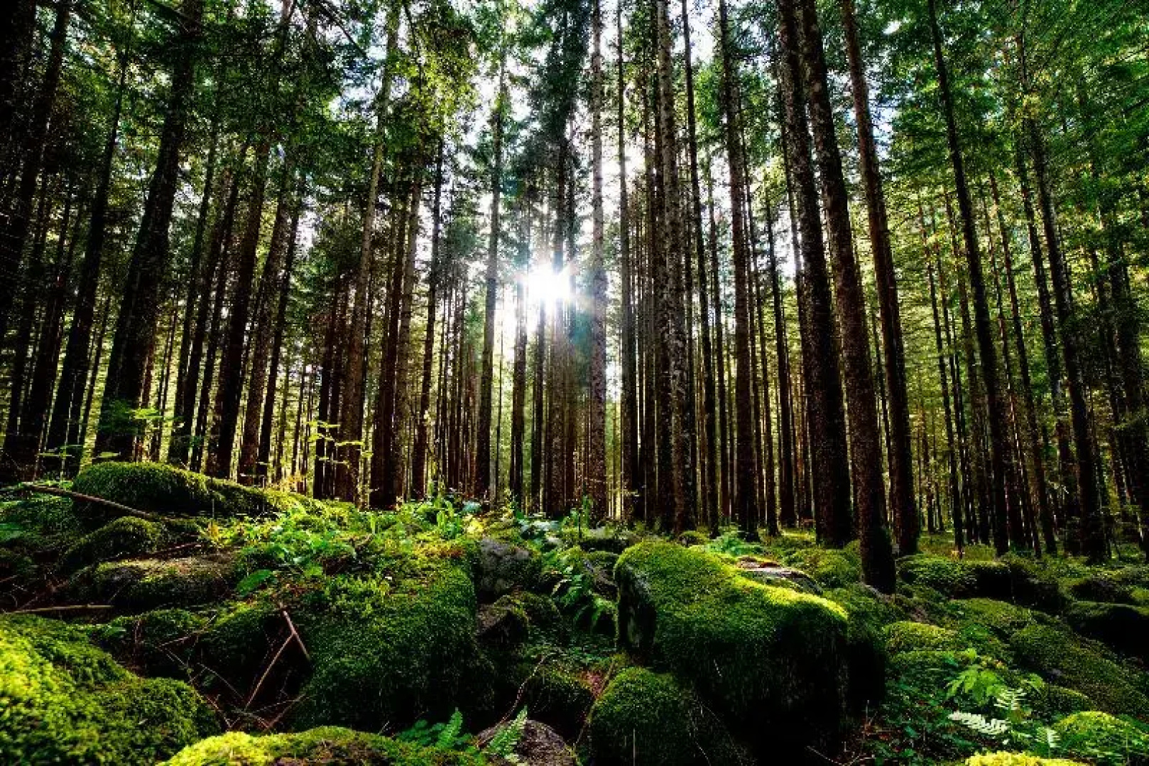 REGIOHOTEL Harzresidenz Wernigerode