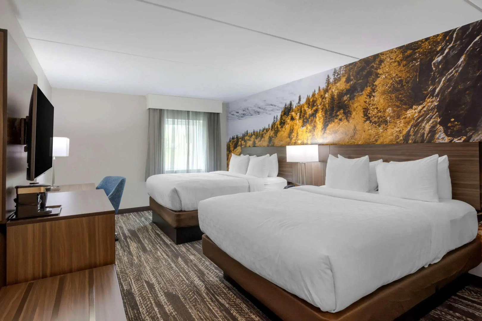 Comfort Inn University