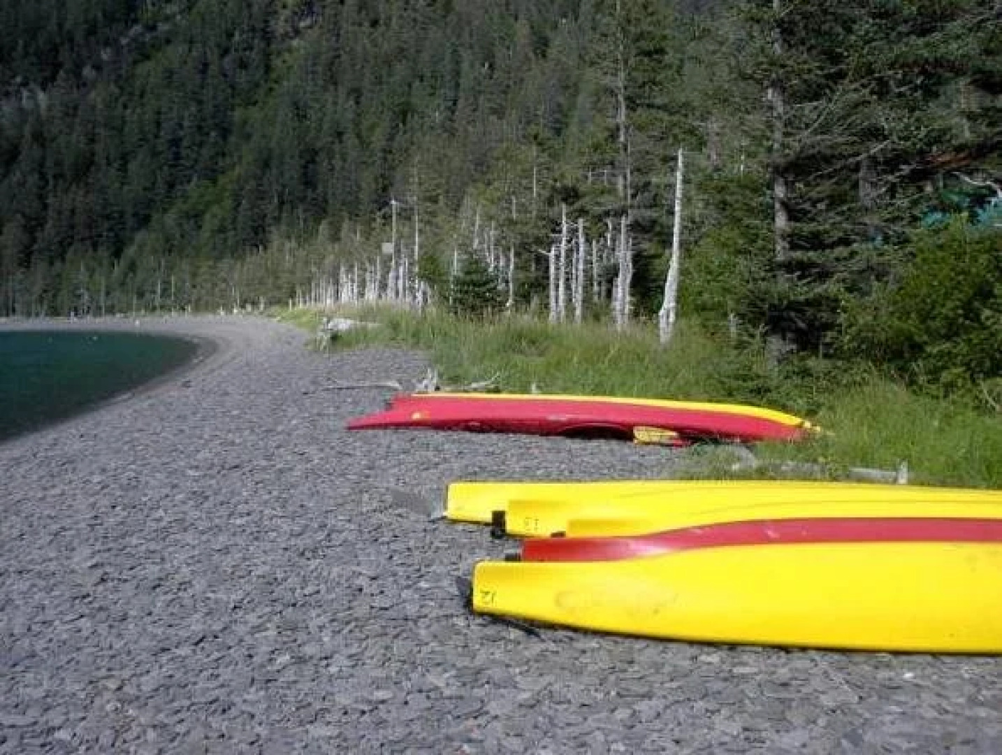 Wild Shores Guest House