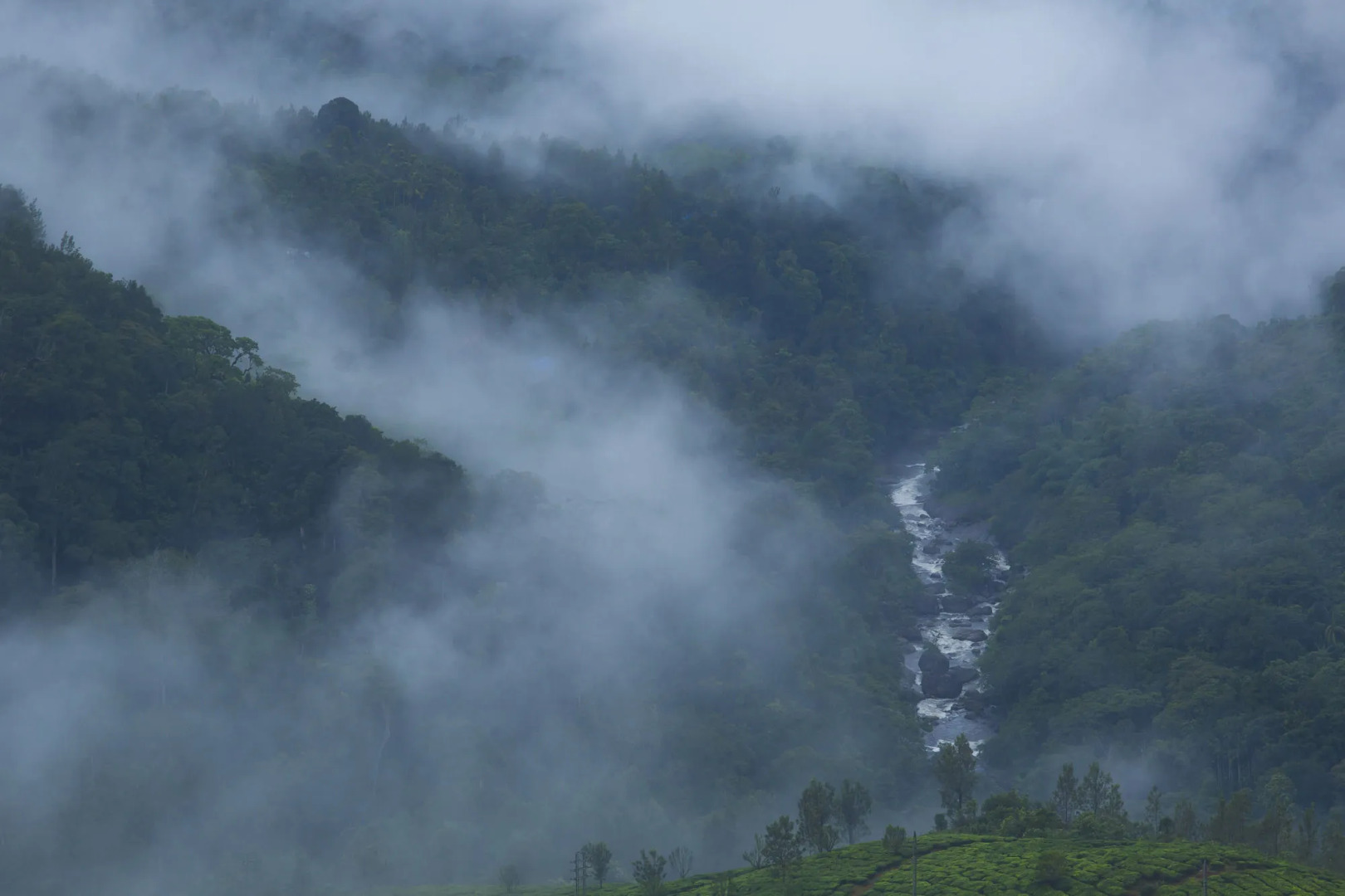 Fragrant Nature Munnar - A Classified Hotel