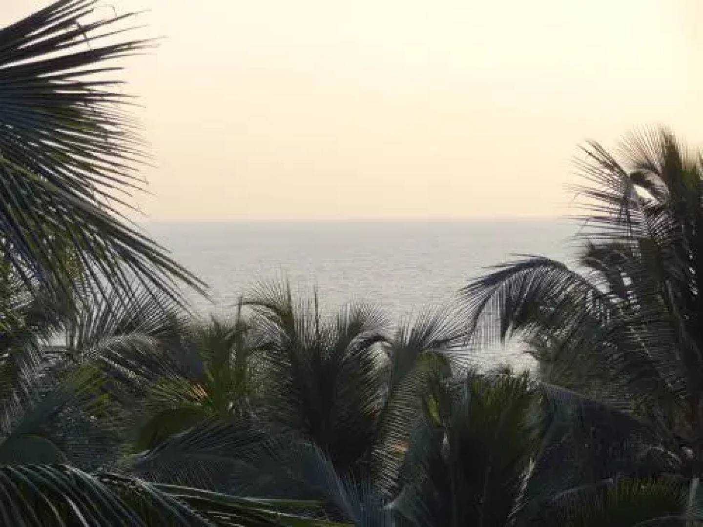 Padme Ayurveda Resort