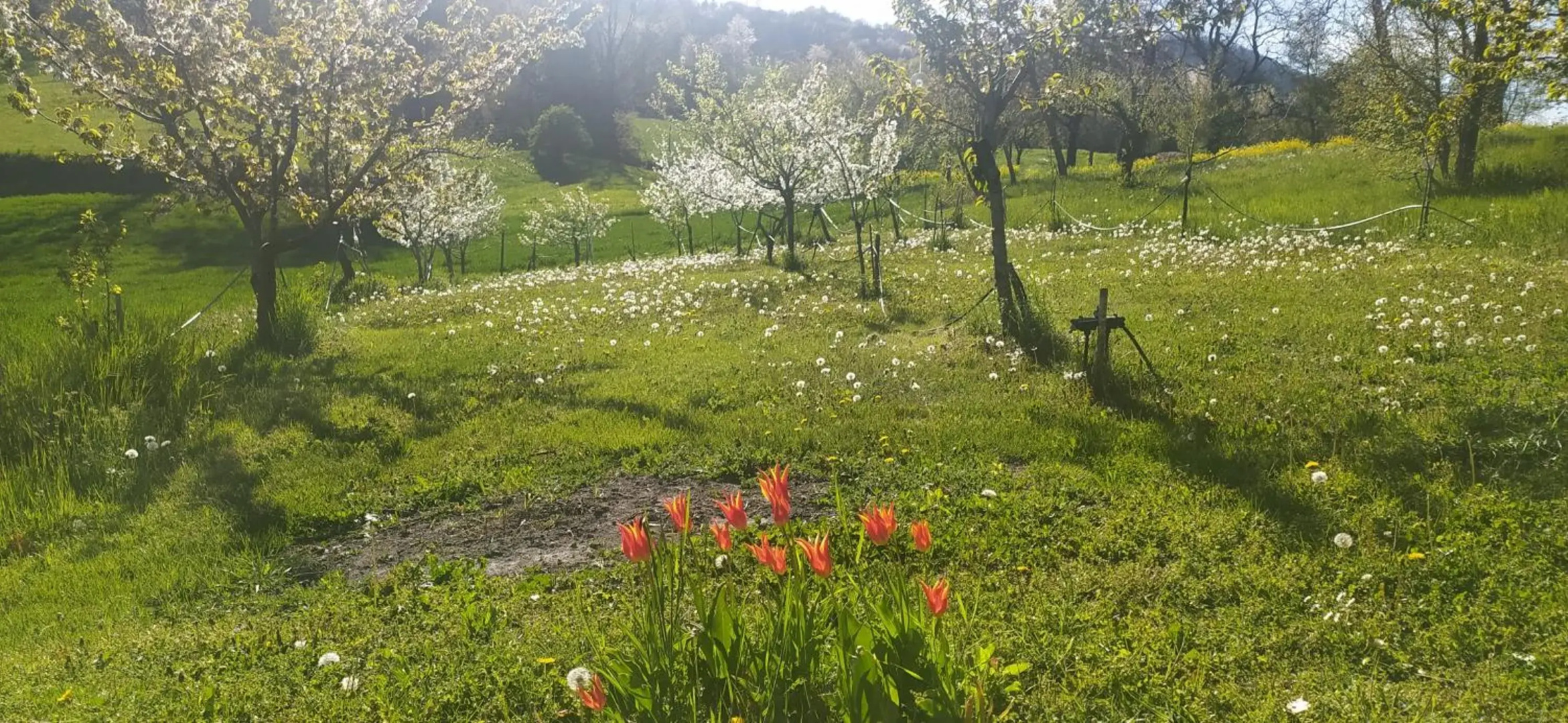 Un posto speciale. La Quagnola