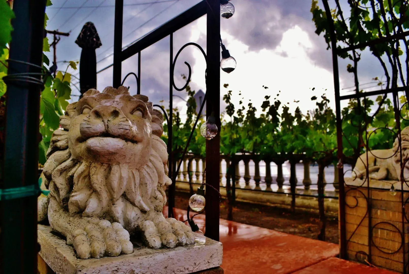 Chardonnay Lodge