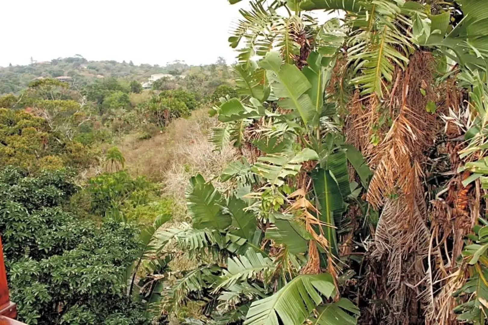 Bushbuck Lodge Southbroom