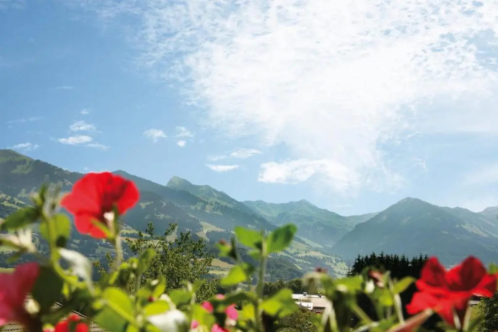 Apartment Haus Schatz