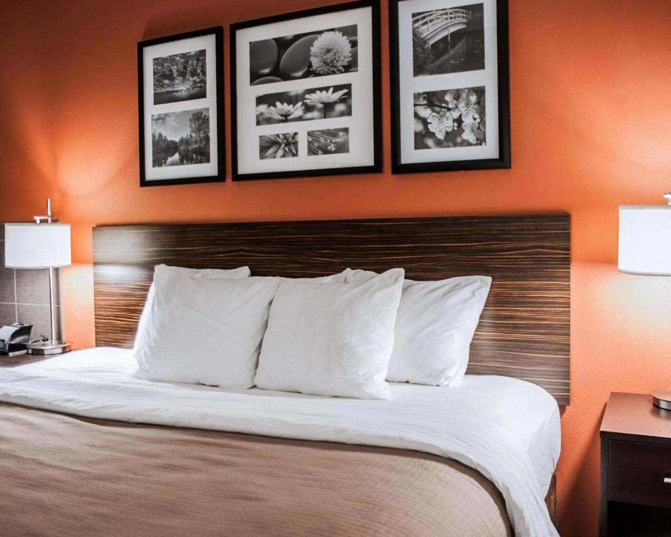 Sleep Inn & Suites Fort Campbell