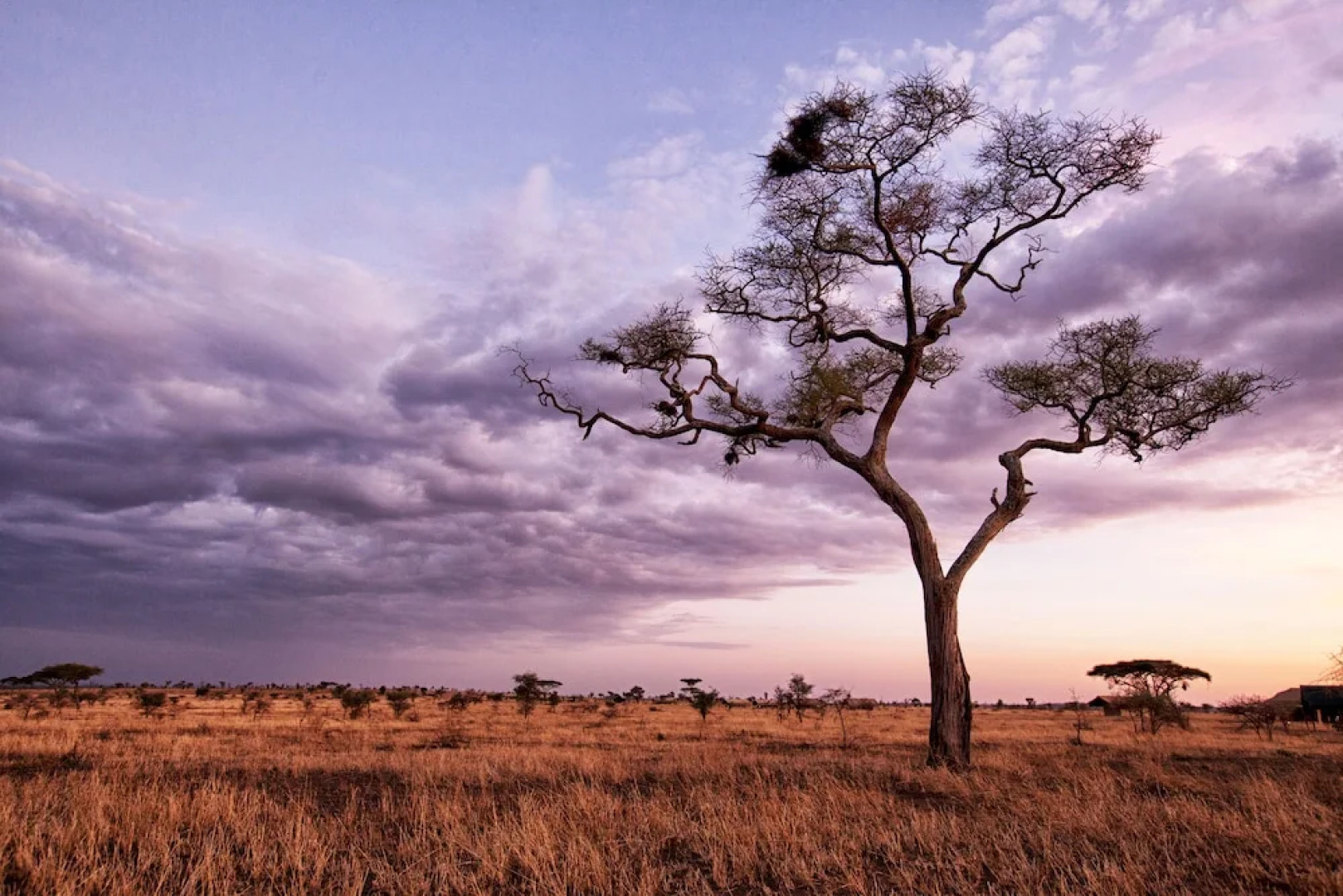 Pumzika Classic Safari Camp