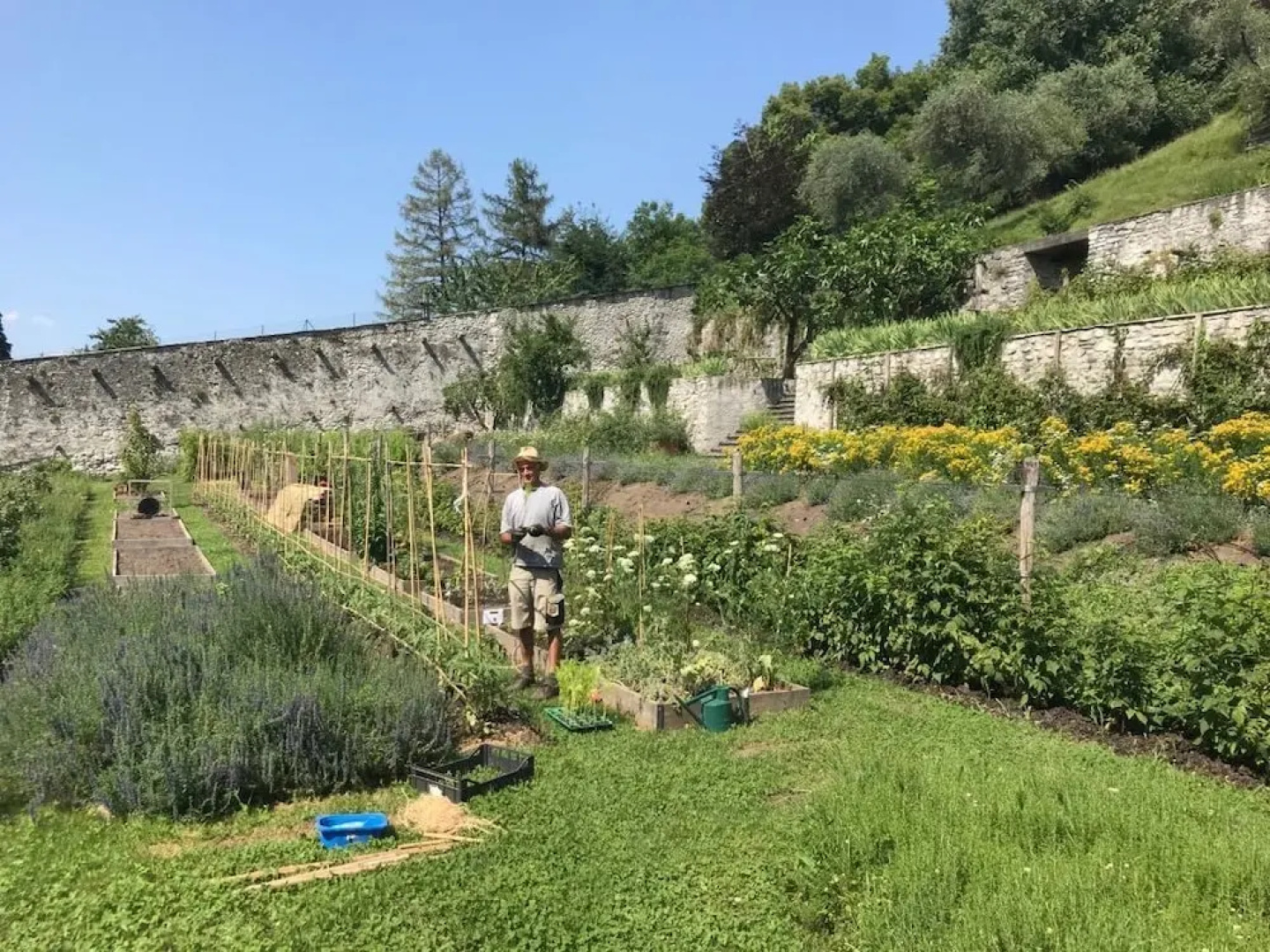 Agriturismo La Derta