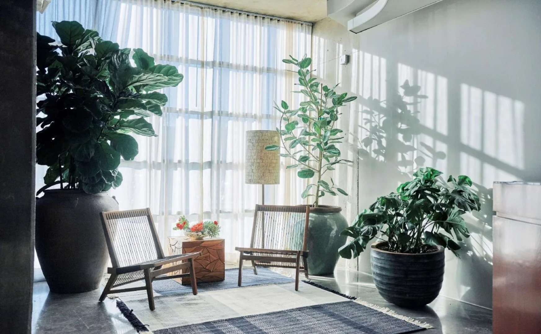 NYLO Dallas Plano Hotel, Tapestry Collection by Hilton