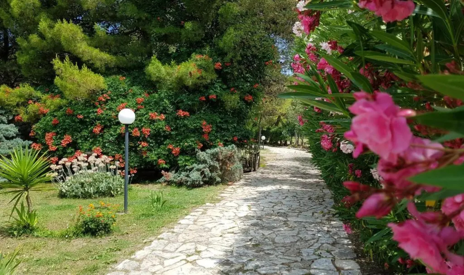 Residence Polidoro