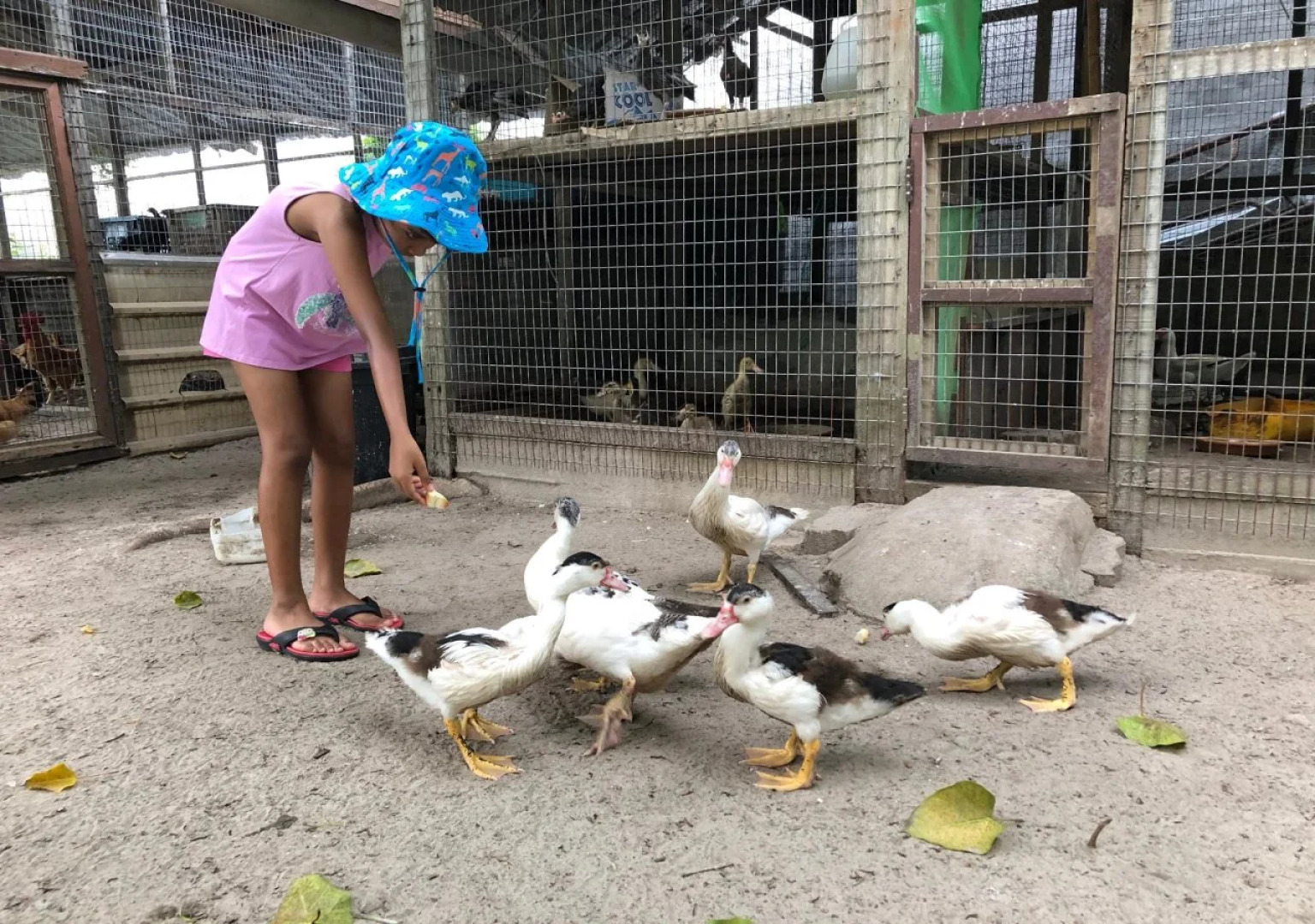 The Frangipani Langkawi Resort & Spa