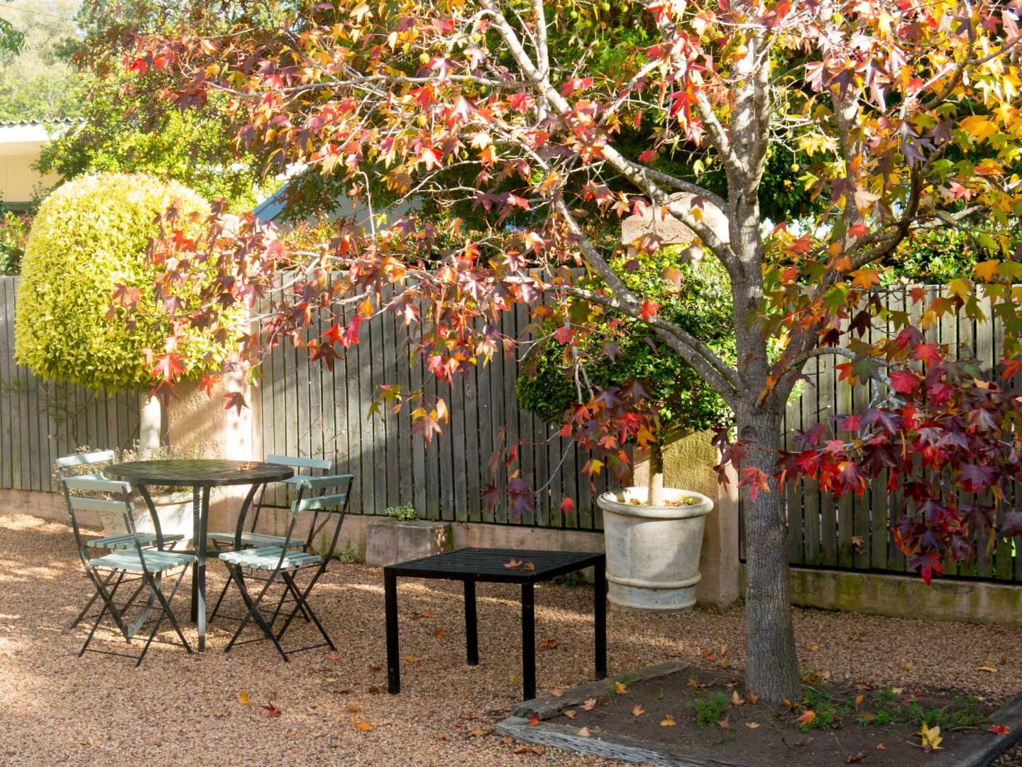 Babette Bed and Breakfast