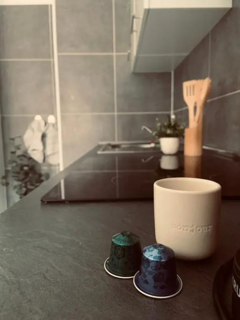 Studio Renard, Style Boheme Et Atypique, Curistes