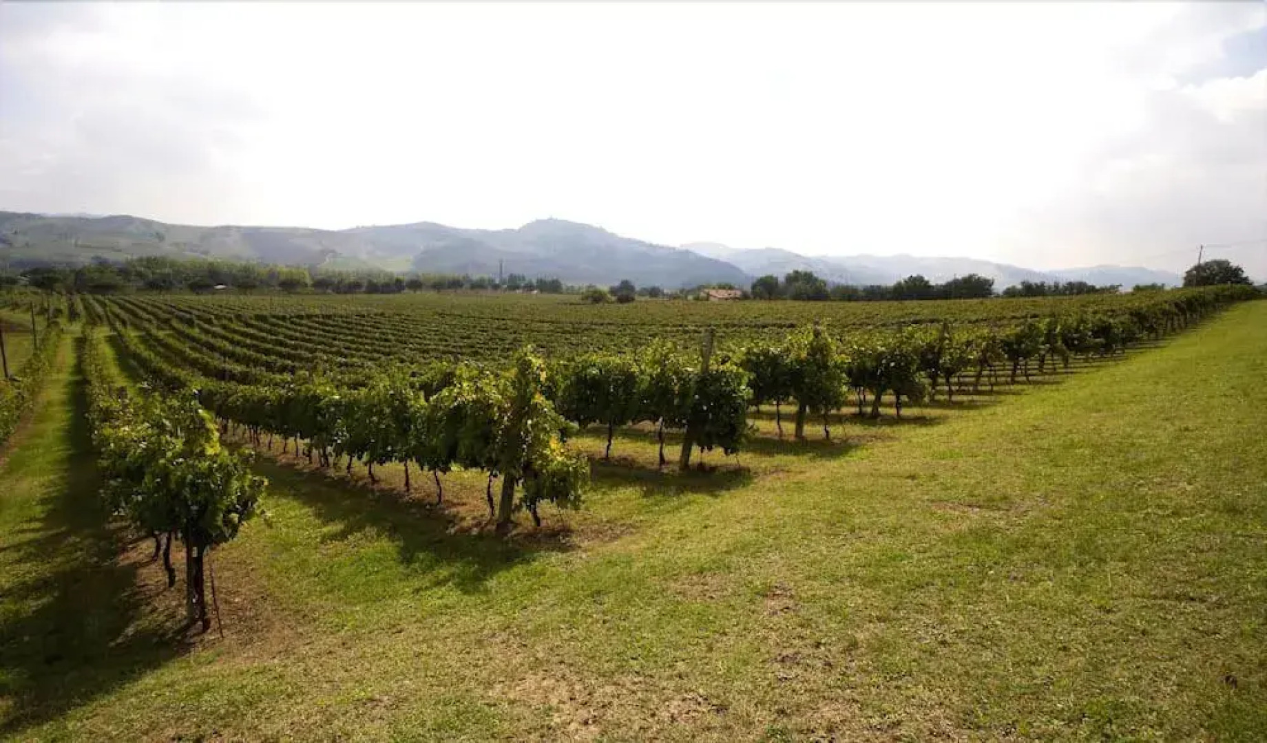 Verdidea - Podere la Casetta