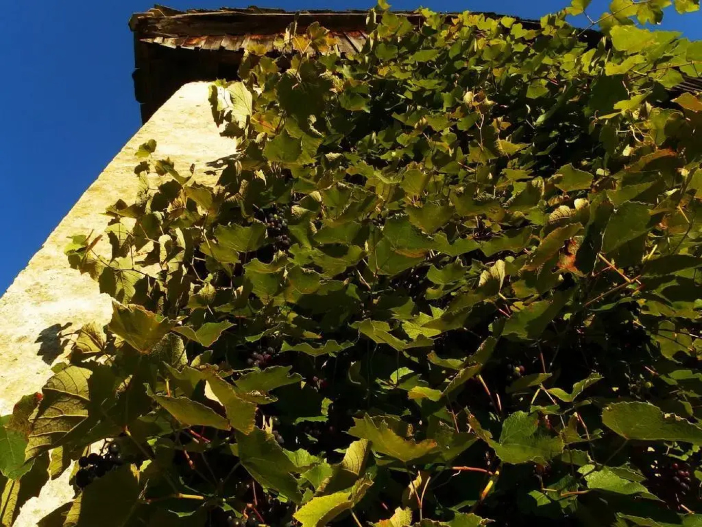 Kmetija Na Čendavš