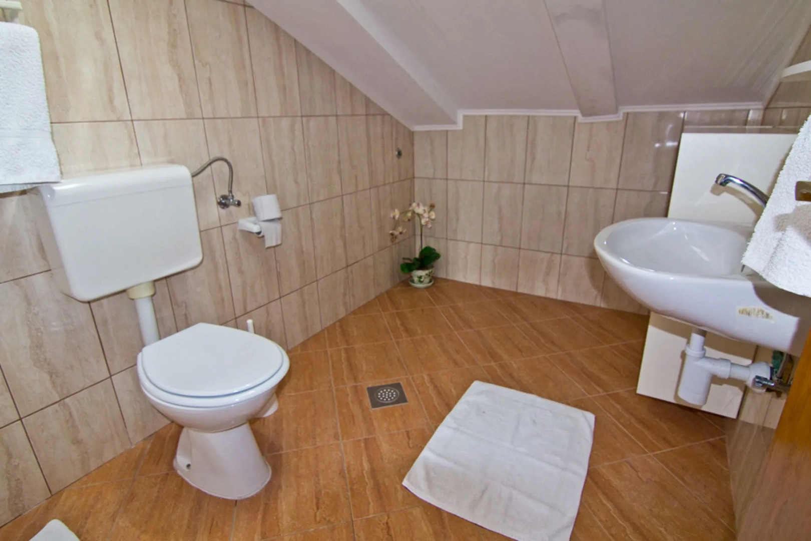 Apartment Ankica - pool & garden A2 Kampor, Island Rab