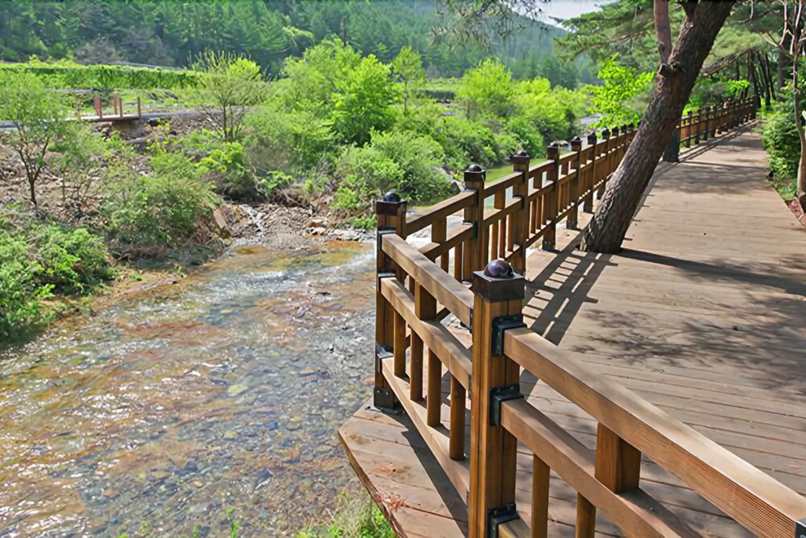 Tongyeong Songni Mt. Nature Pension