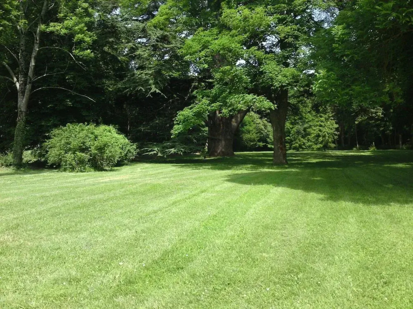 Chateau Celle Guenand