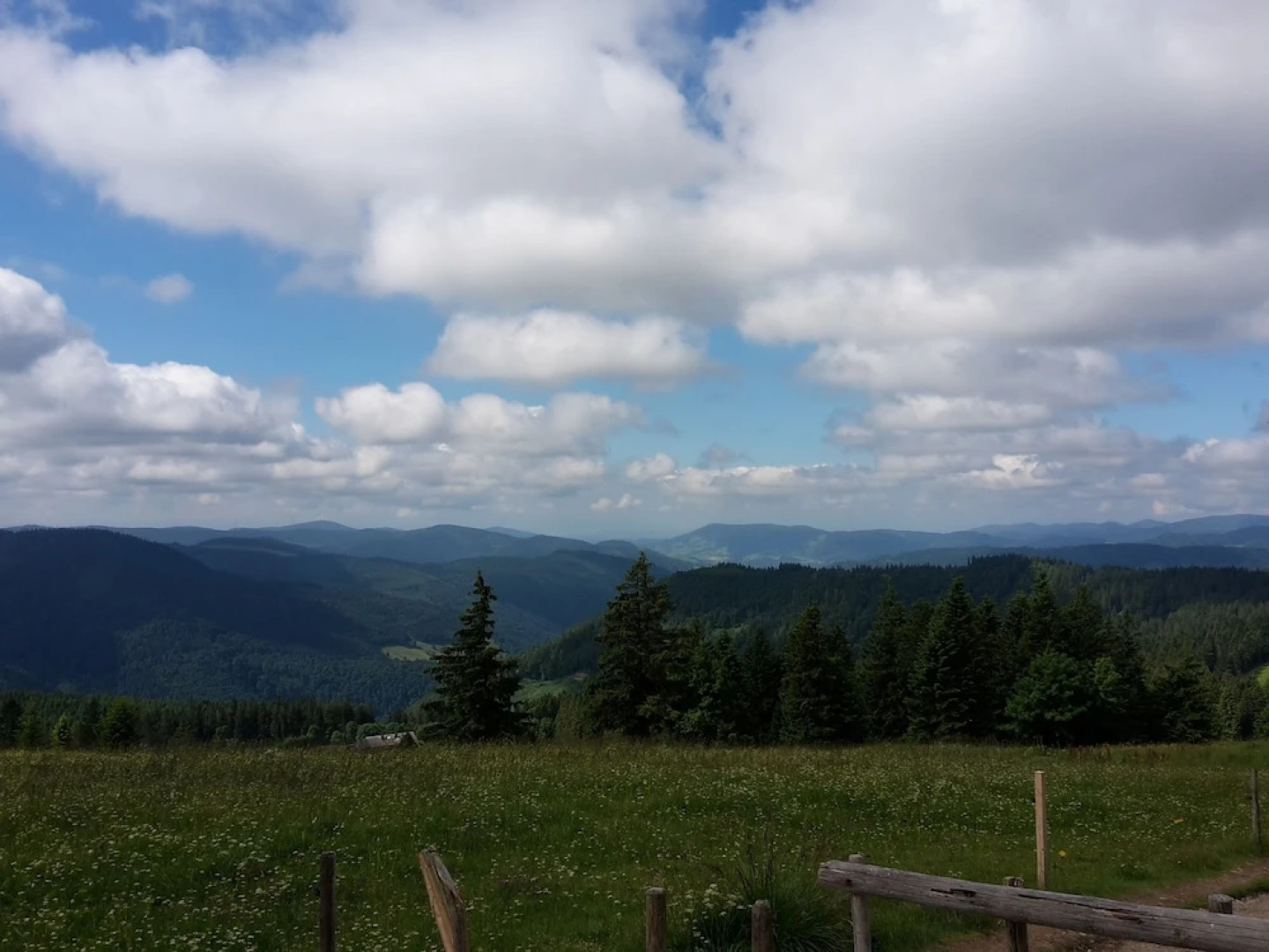 Hotel Gasthaus Hirschen