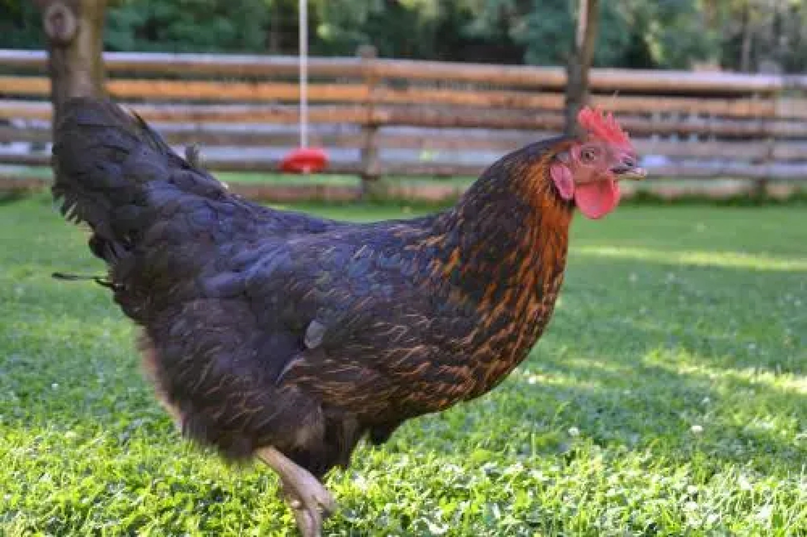 Residence Schnatzhof