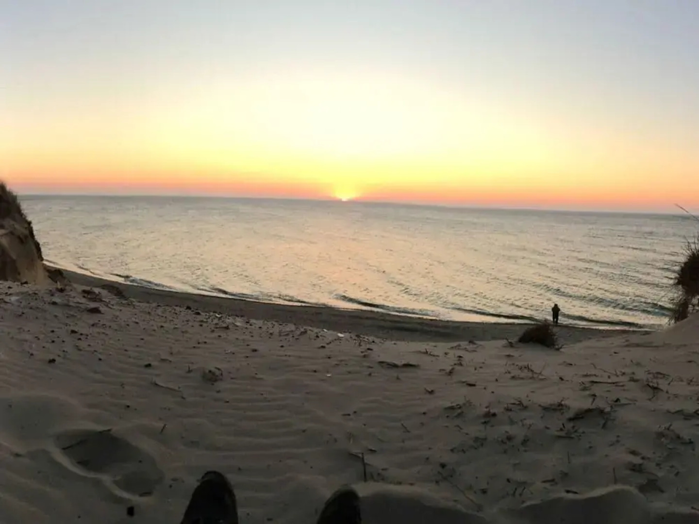 Black-headed Gull Comfortable Holiday Residence