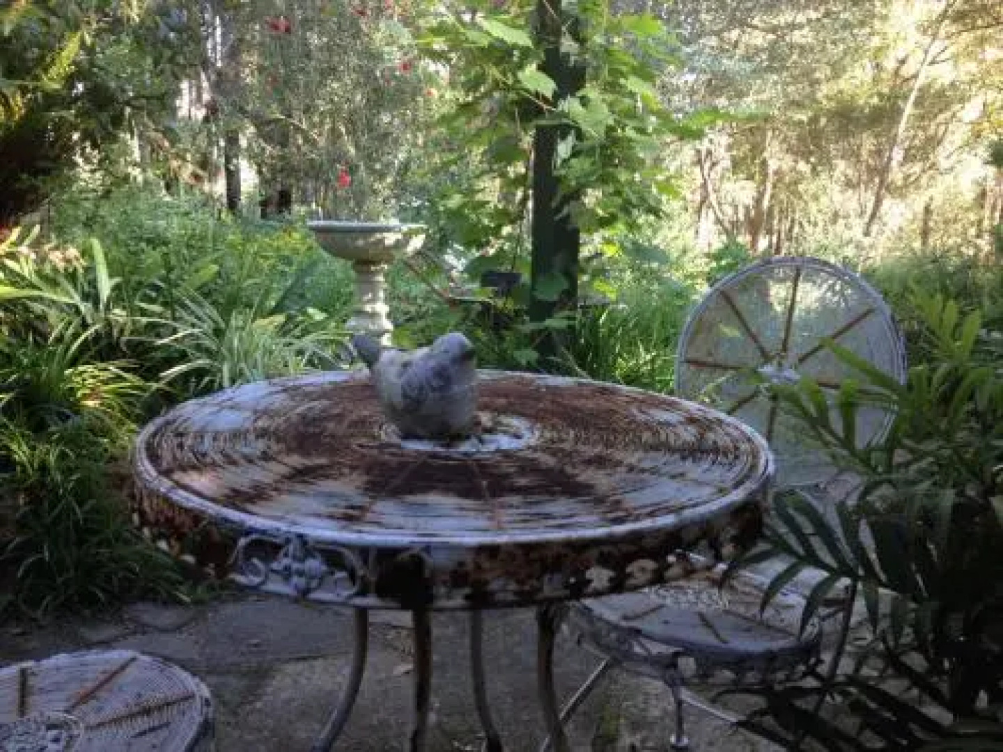 Whispering Pines B&B