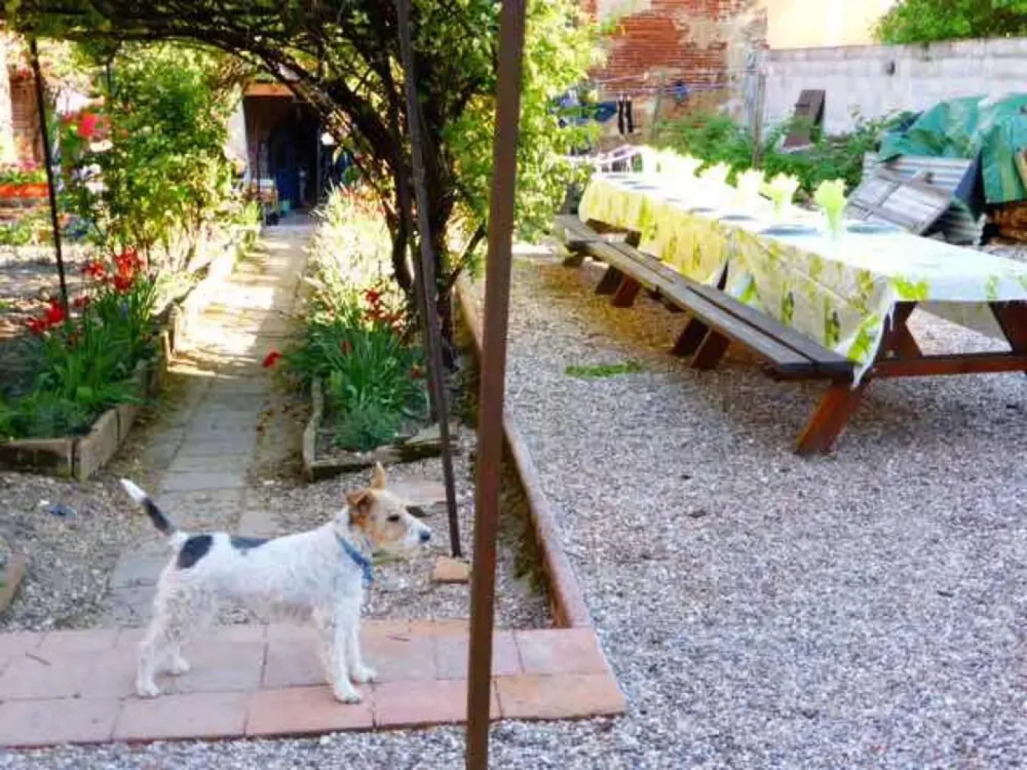 Ultreia Moissac