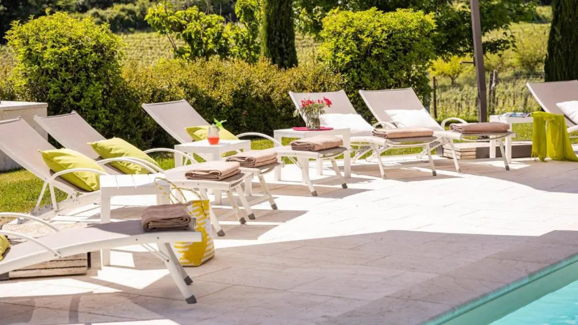 Le Querce Dei Medici 12 2