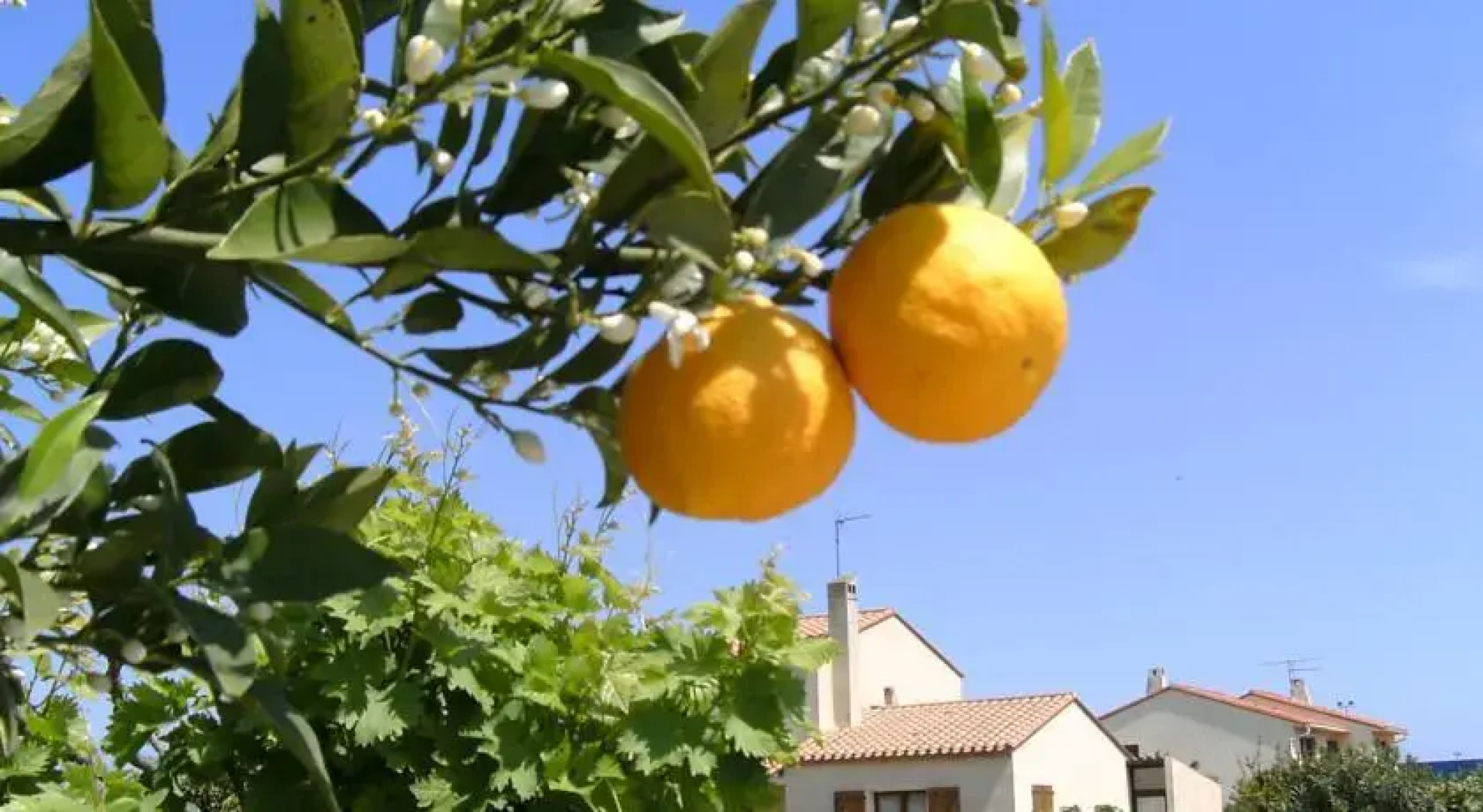 Large Holiday Home Torreilles with 15 metre Pool