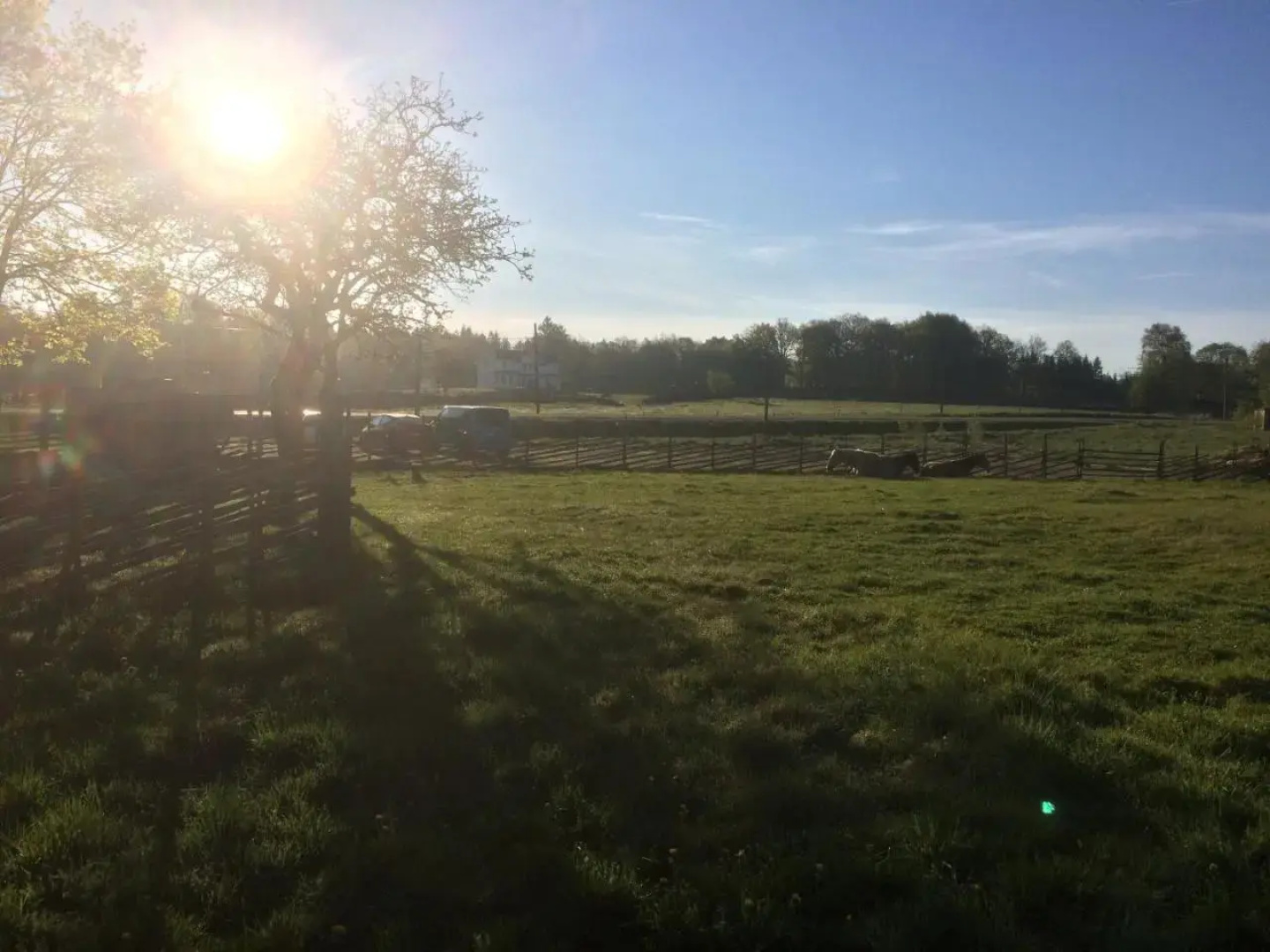 J A Ranch