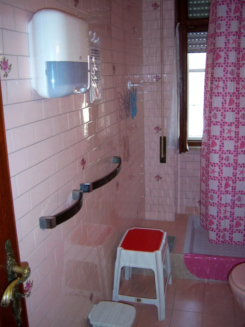 Bed and Breakfast Geckos