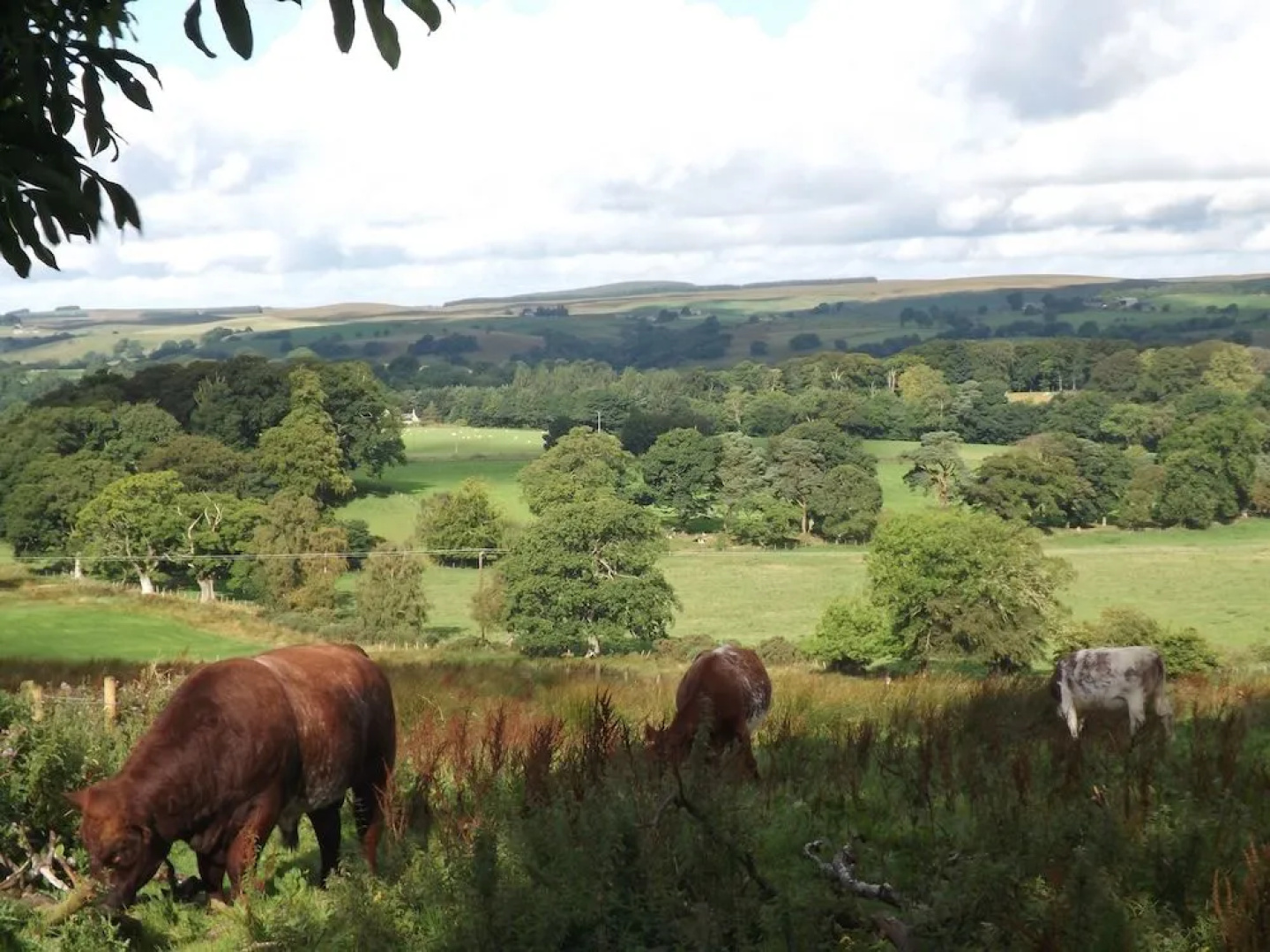 Hillis Close Farm