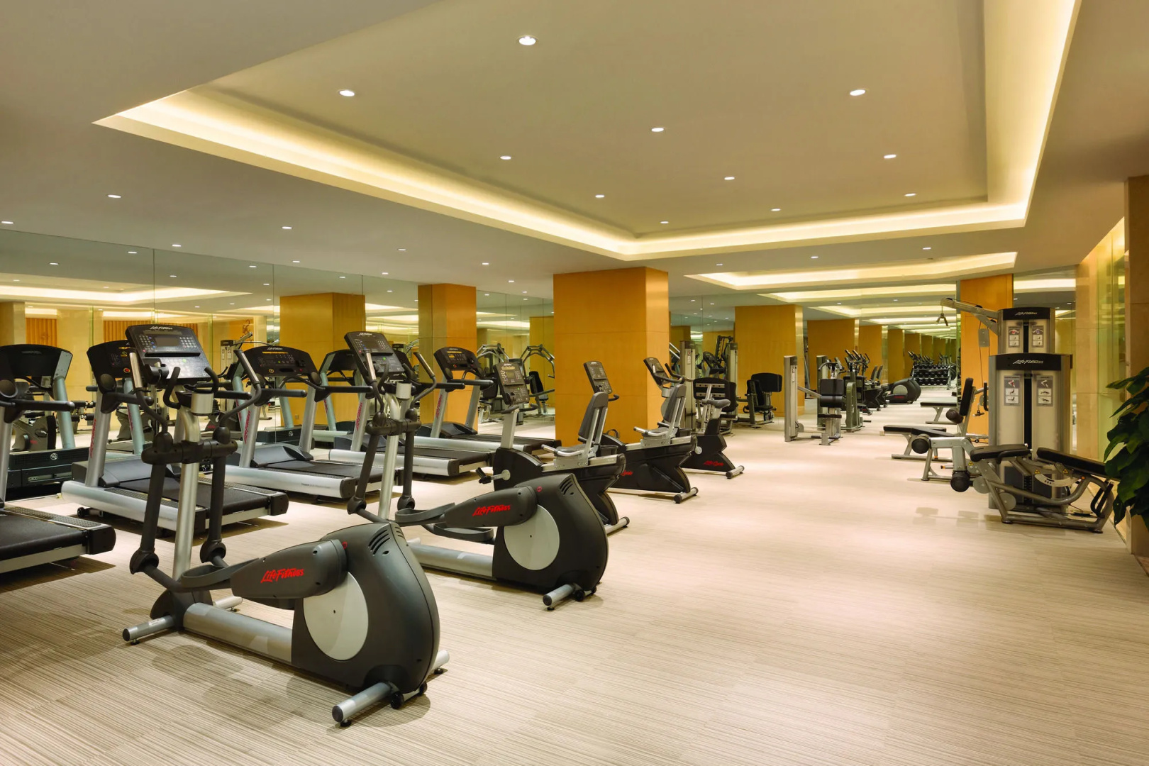 Wyndham Urumqi North