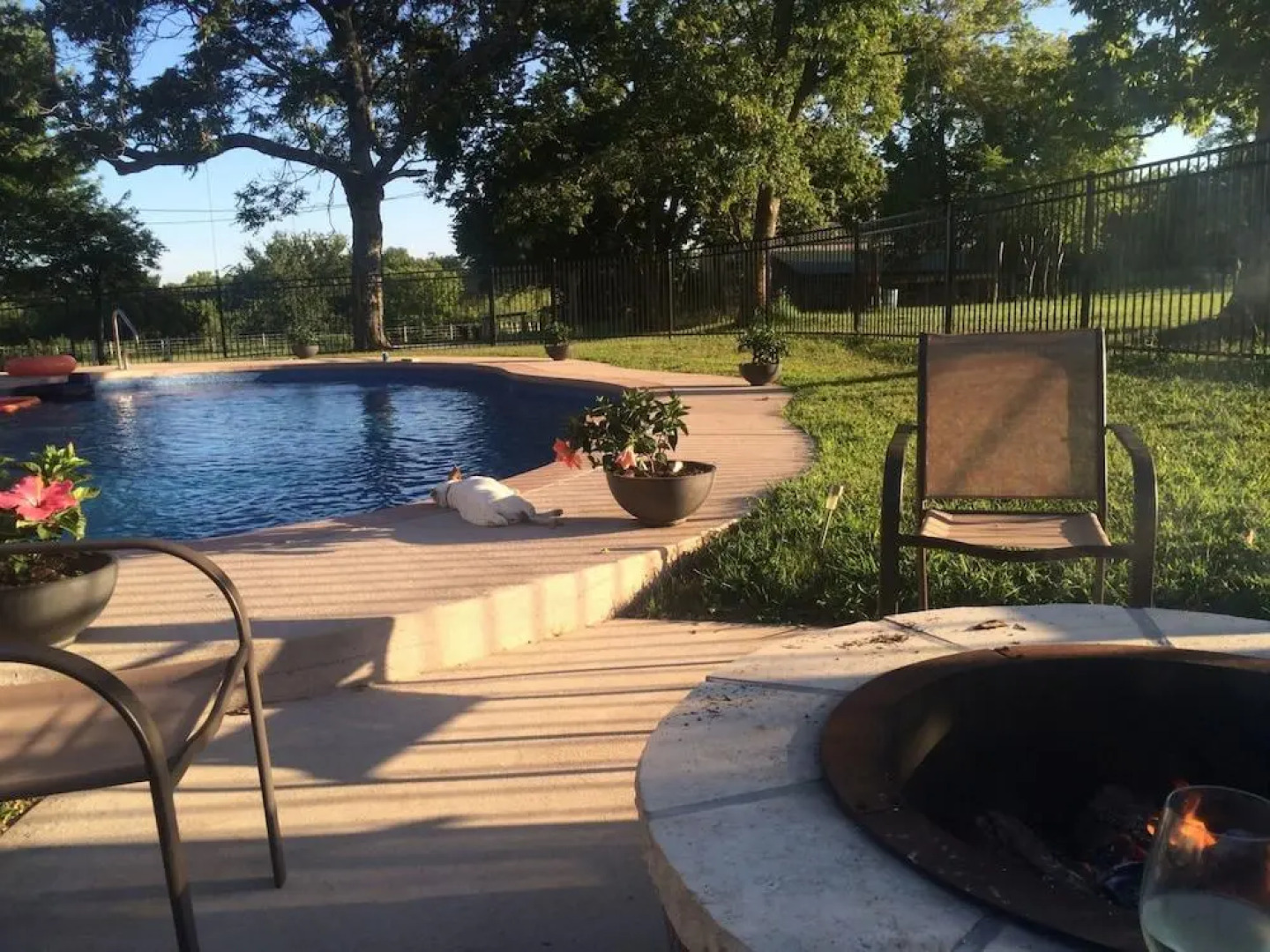 Netherfield Natural Farm