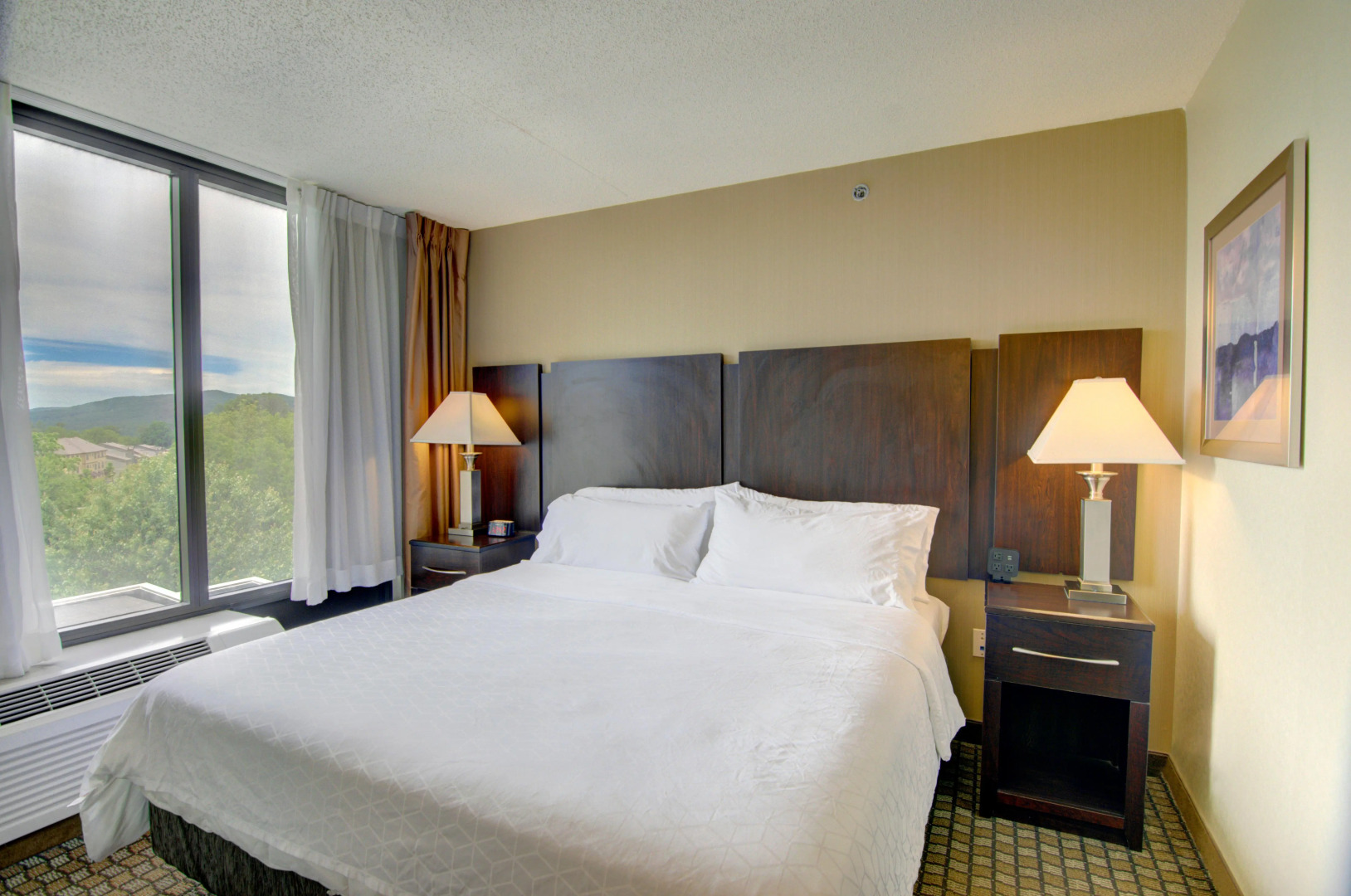 Holiday Inn Express & Suites Blacksburg - University Area by IHG