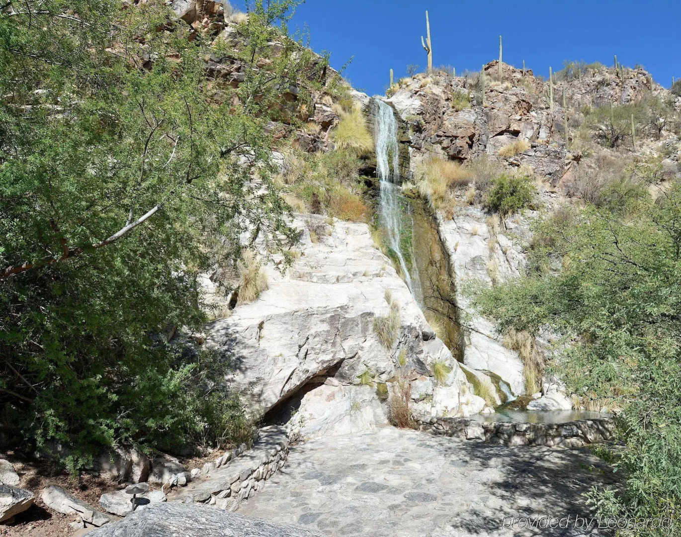 Loews Ventana Canyon Resort