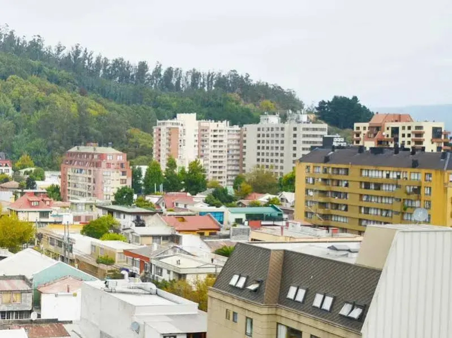 Hotel Terrano