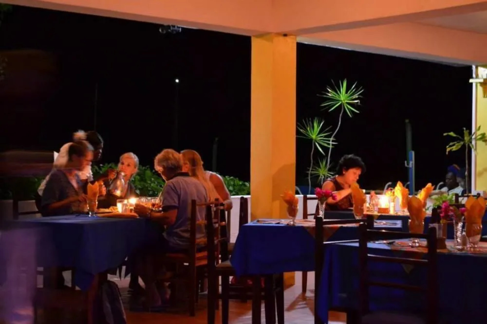 Anchorage Hotel, Whale Watch & Dive Center