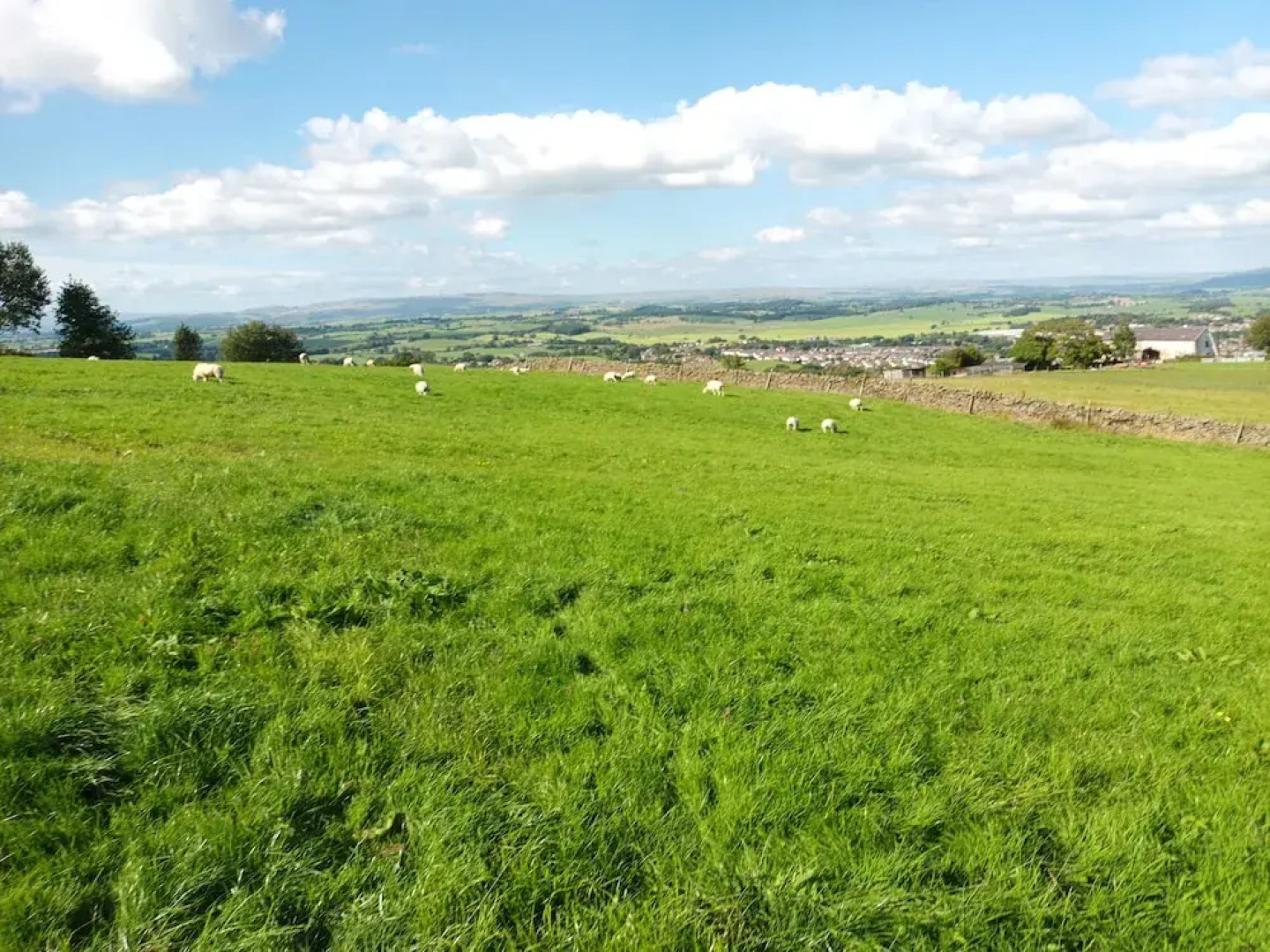 The Journeyman Luxury Shepherds Hut