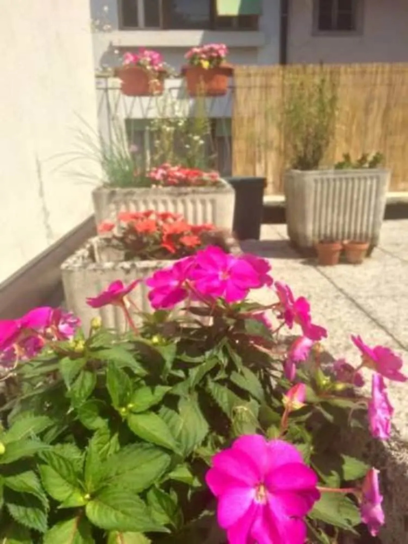 B&B The Green Corner's Hangout