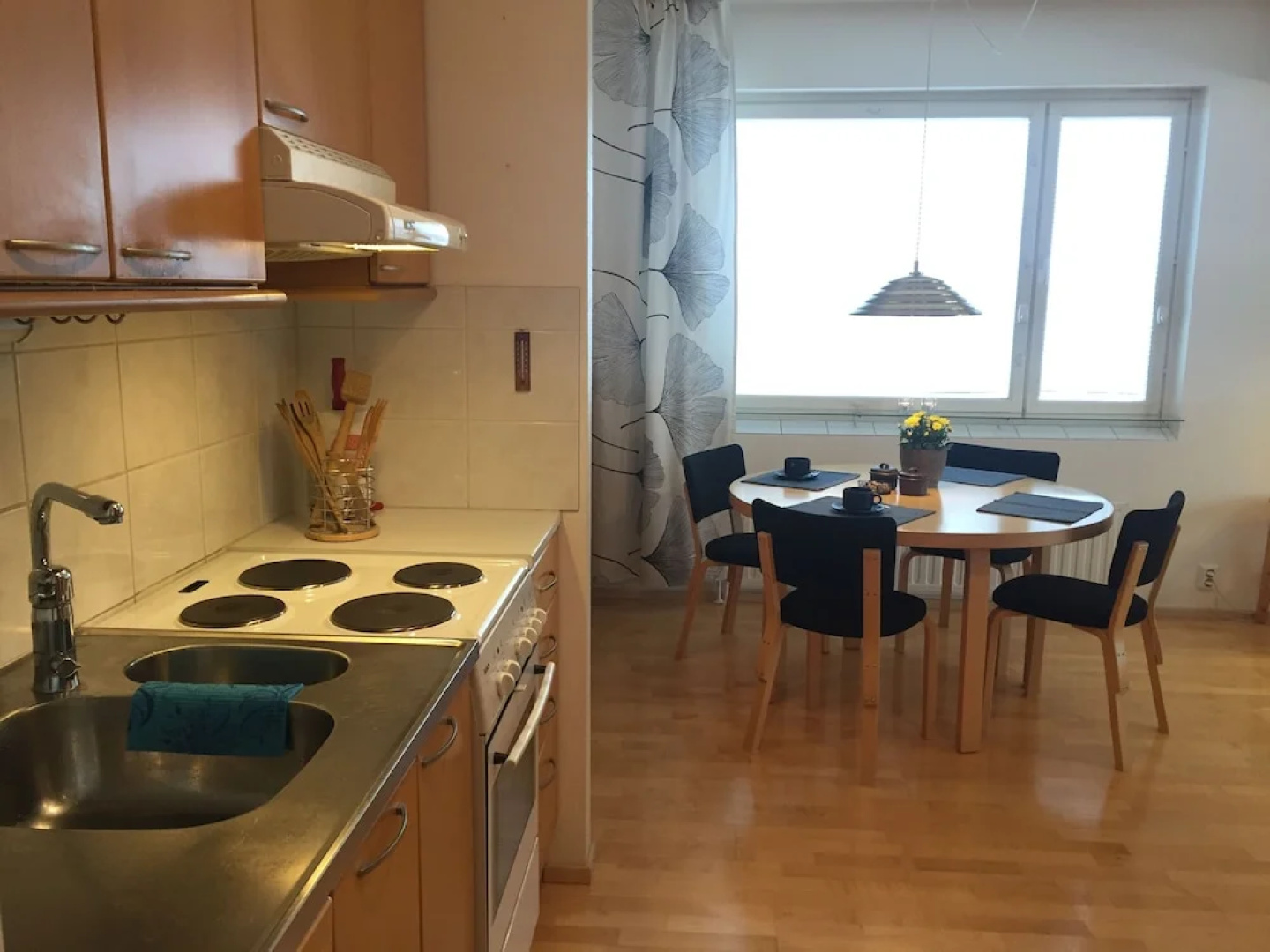 Park Site Apartment