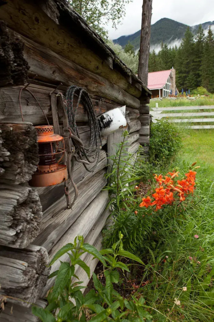 Tod Mountain Guest Cabins
