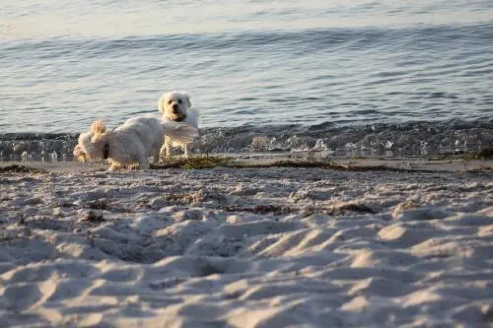 Op´n Dörp Apartment